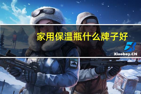 家用保温瓶什么牌子好