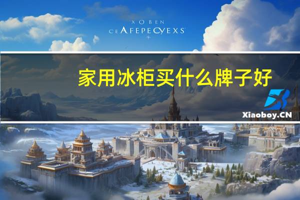 家用冰柜买什么牌子好