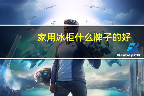 家用冰柜什么牌子的好