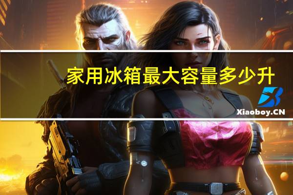 家用冰箱最大容量多少升
