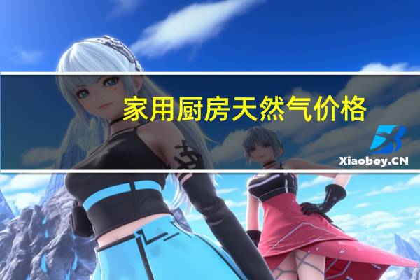 家用厨房天然气价格