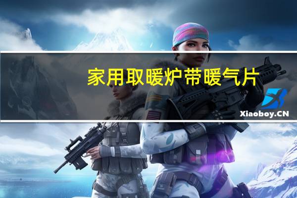 家用取暖炉带暖气片