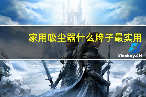 家用吸尘器什么牌子最实用