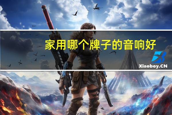 家用哪个牌子的音响好
