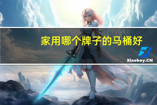 家用哪个牌子的马桶好