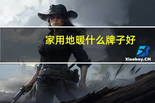 家用地暖什么牌子好