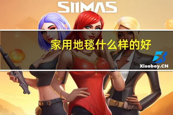 家用地毯什么样的好