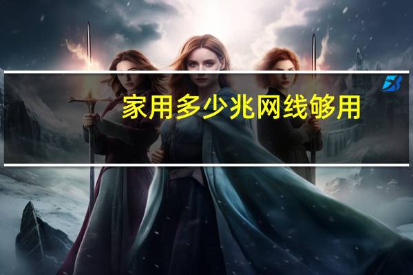家用多少兆网线够用