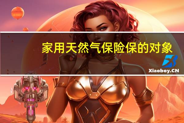 家用天然气保险保的对象