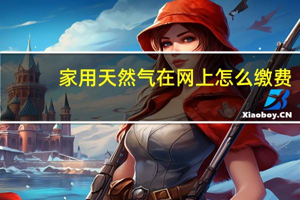 家用天然气在网上怎么缴费