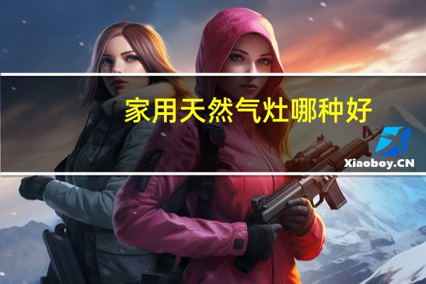 家用天然气灶哪种好