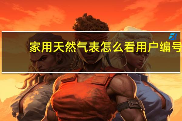 家用天然气表怎么看用户编号