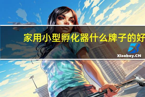 家用小型孵化器什么牌子的好