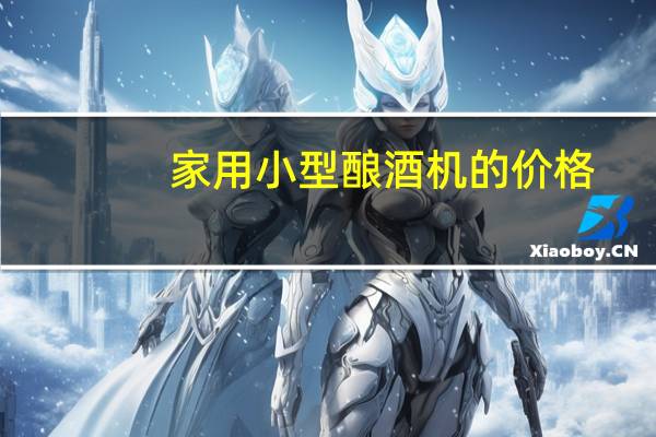 家用小型酿酒机的价格