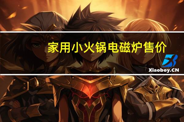 家用小火锅电磁炉售价