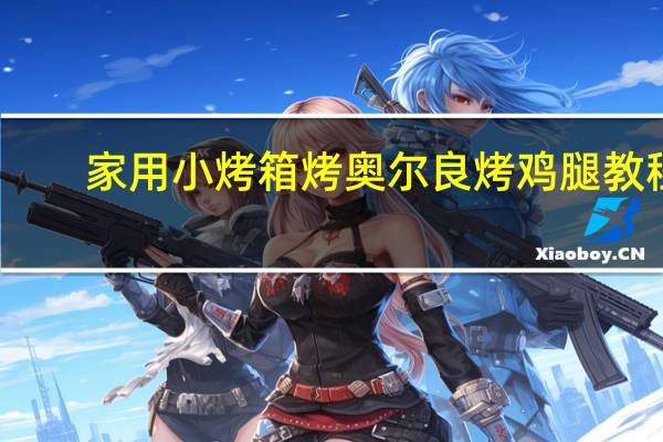 家用小烤箱烤奥尔良烤鸡腿教程