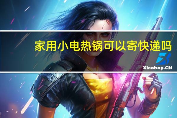 家用小电热锅可以寄快递吗