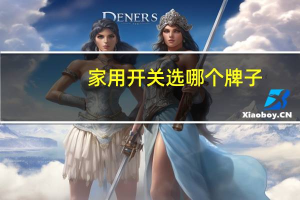 家用开关选哪个牌子