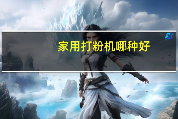 家用打粉机哪种好