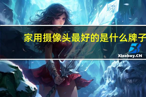 家用摄像头最好的是什么牌子