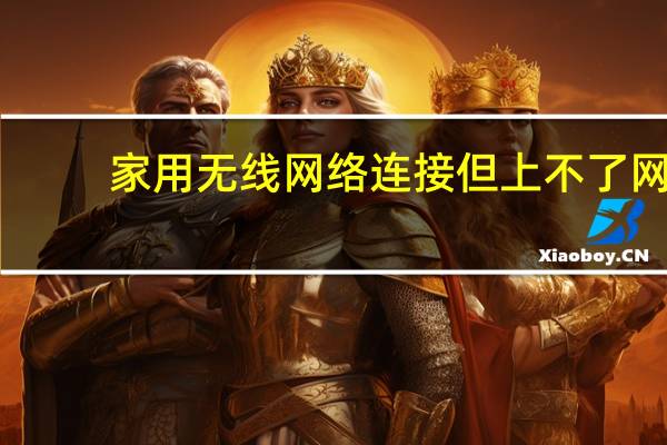 家用无线网络连接但上不了网