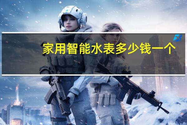 家用智能水表多少钱一个