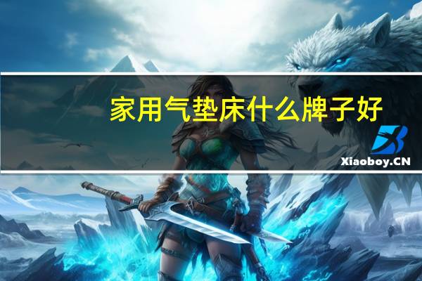 家用气垫床什么牌子好