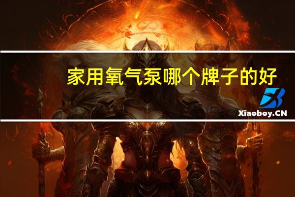 家用氧气泵哪个牌子的好