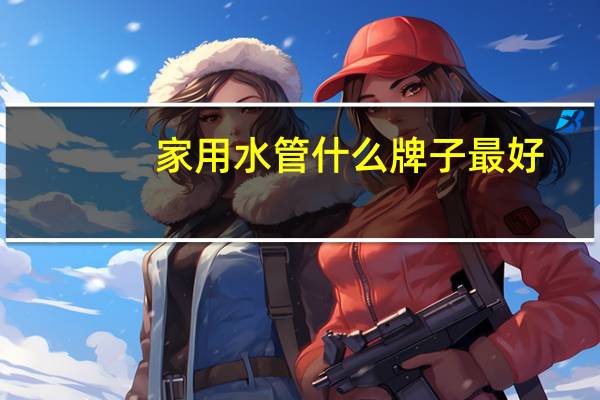 家用水管什么牌子最好