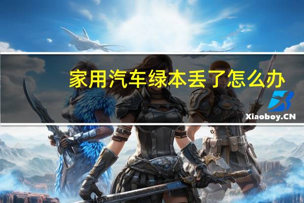 家用汽车绿本丢了怎么办