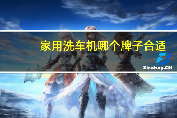 家用洗车机哪个牌子合适