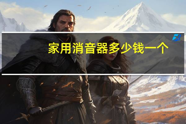 家用消音器多少钱一个