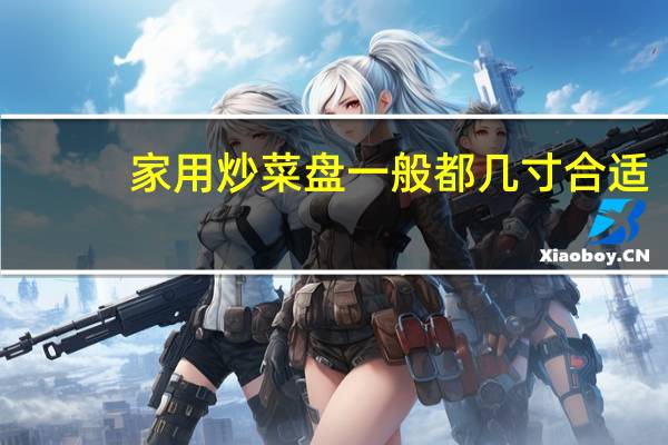 家用炒菜盘一般都几寸合适
