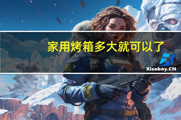 家用烤箱多大就可以了