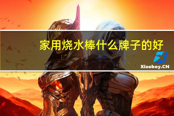 家用烧水棒什么牌子的好