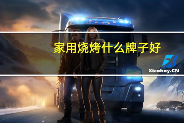 家用烧烤什么牌子好