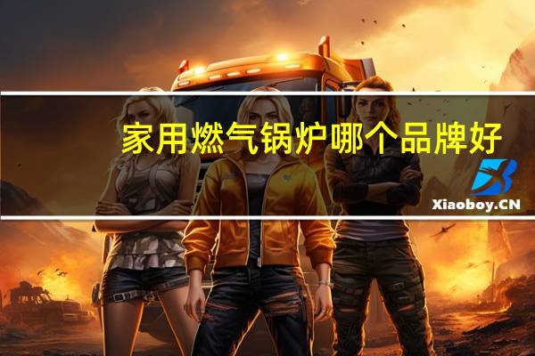 家用燃气锅炉哪个品牌好