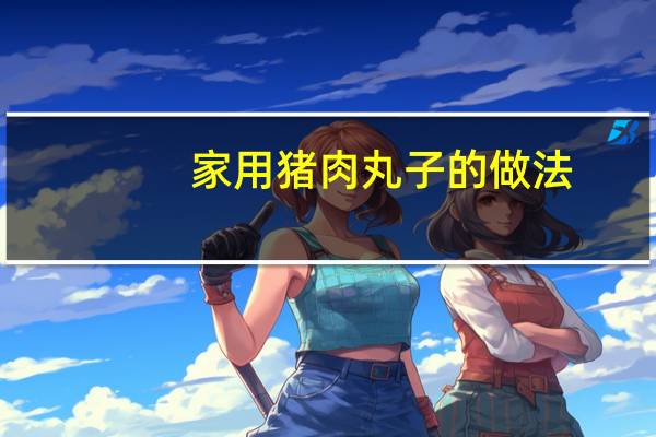 家用猪肉丸子的做法