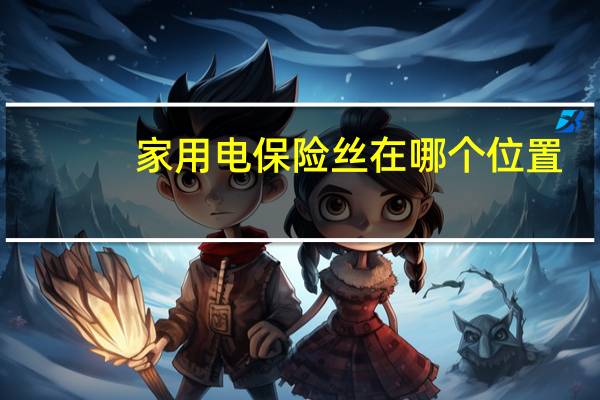 家用电保险丝在哪个位置