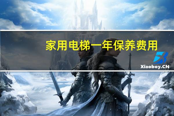 家用电梯一年保养费用