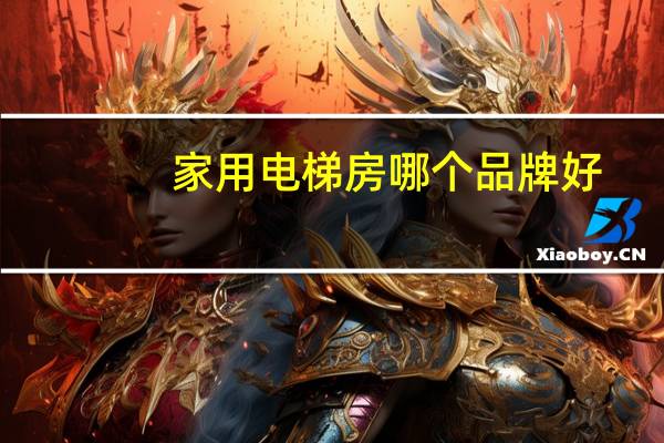 家用电梯房哪个品牌好