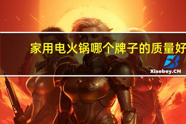 家用电火锅哪个牌子的质量好