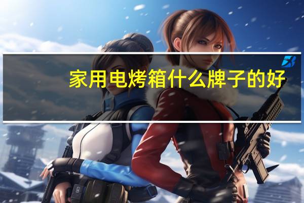 家用电烤箱什么牌子的好