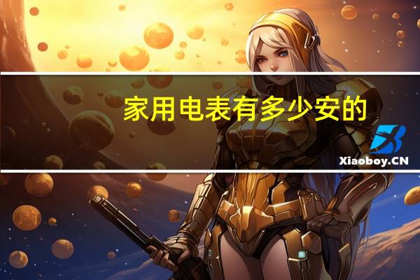 家用电表有多少安的