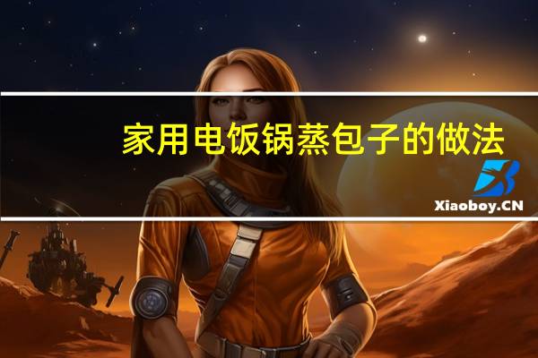 家用电饭锅蒸包子的做法