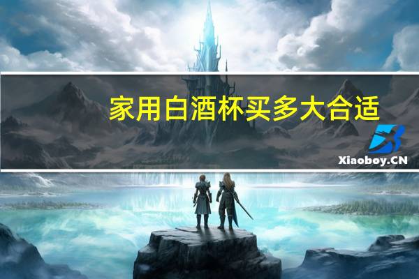 家用白酒杯买多大合适