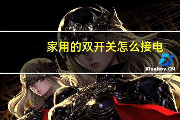 家用的双开关怎么接电