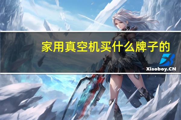 家用真空机买什么牌子的
