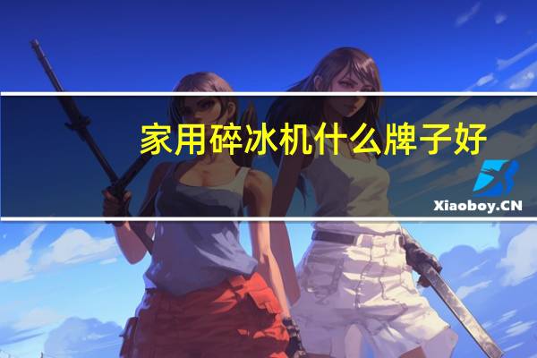家用碎冰机什么牌子好