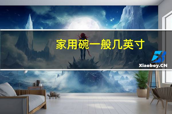 家用碗一般几英寸